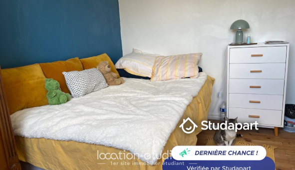 Colocation étudiante Duplex &agrave; Écully (69130)