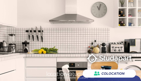 Colocation étudiante Studio &agrave; Fontainebleau (77300)