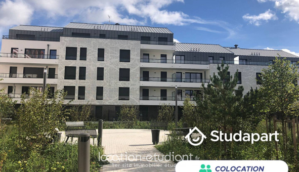 Colocation étudiante Studio &agrave; Fontainebleau (77300)
