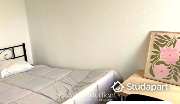 Colocation étudiante 0