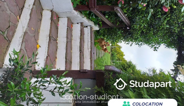 Colocation étudiante Studio &agrave; Hasparren (64240)