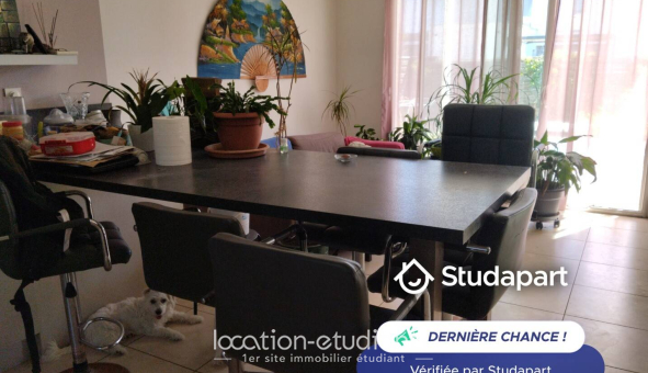 Colocation étudiante T4 &agrave; Juvignac (34990)