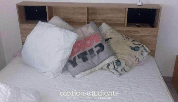 Colocation étudiante 0