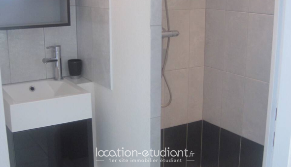 Colocation étudiante 0