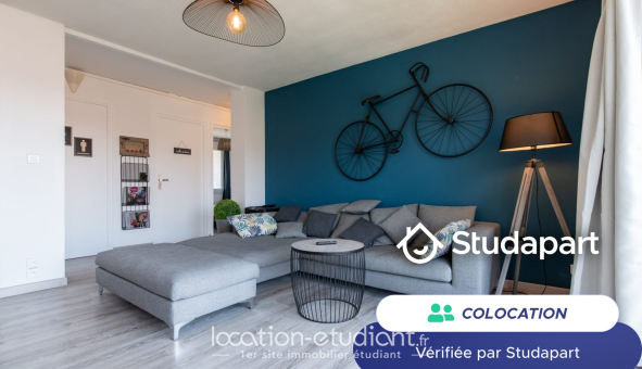 Colocation étudiante T4 &agrave; Laines aux Bois (10120)