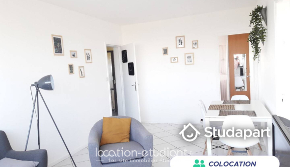 Colocation étudiante 0