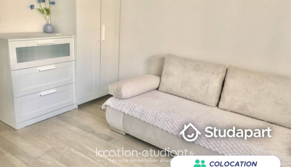 Colocation étudiante 0