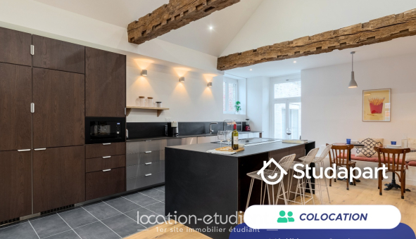 Colocation étudiante Studio &agrave; Lille (59800)