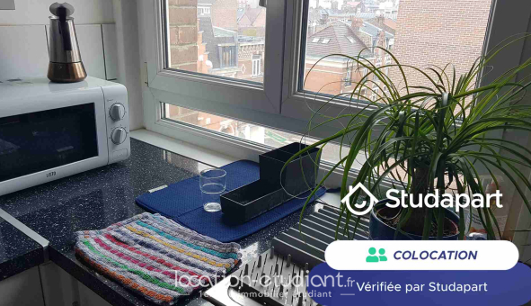 Colocation étudiante Studio &agrave; Lille (59800)
