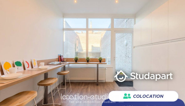 Colocation étudiante Studio &agrave; Lille (59800)