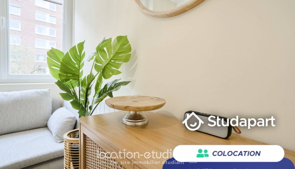 Colocation étudiante Studio &agrave; Lille (59800)