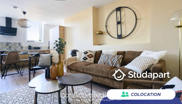 Colocation étudiante Duplex &agrave; Lille (59800)