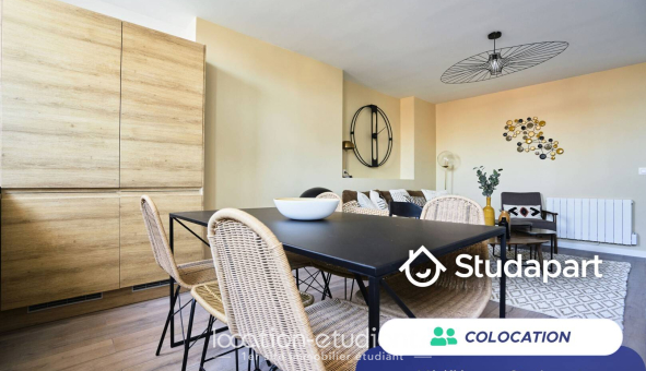 Colocation étudiante Duplex &agrave; Lille (59800)