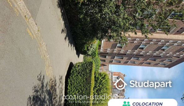 Colocation étudiante Studio &agrave; Lille (59800)