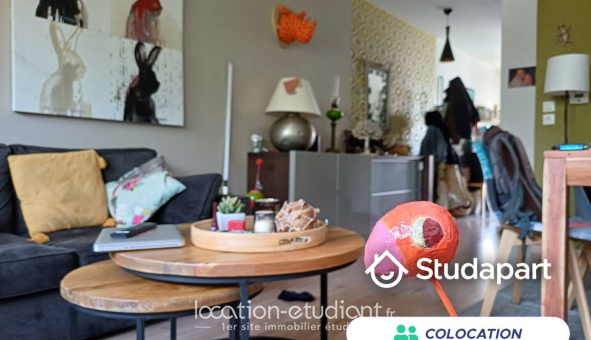 Colocation étudiante Studio &agrave; Lille (59800)