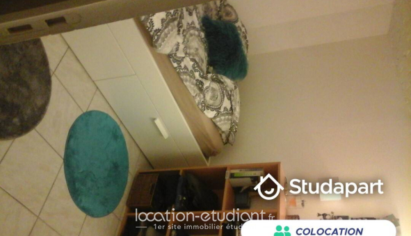 Colocation étudiante Studio &agrave; Lille (59800)