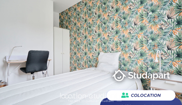 Colocation étudiante Duplex &agrave; Lille (59800)