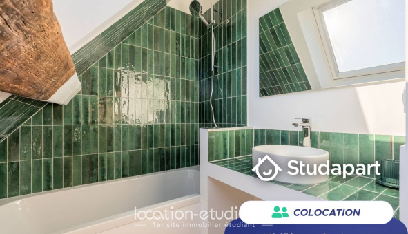 Colocation étudiante Studio &agrave; Lille (59800)