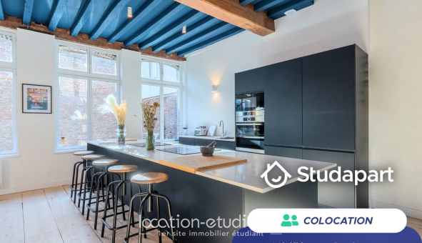 Colocation étudiante Studio &agrave; Lille (59800)