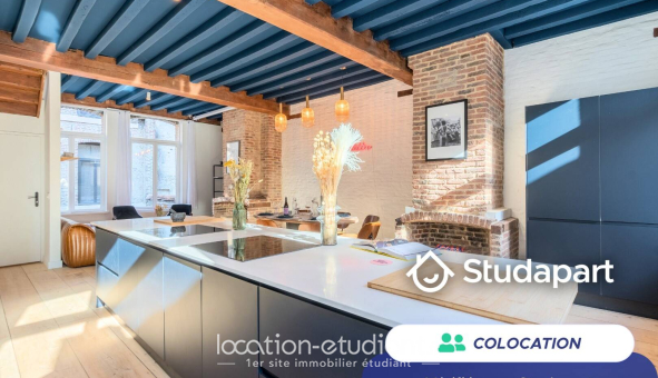 Colocation étudiante Studio &agrave; Lille (59800)