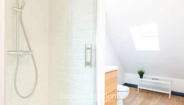 Colocation étudiante Studio &agrave; Lille (59800)