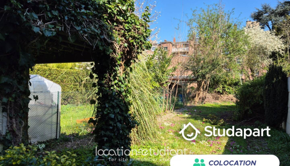 Colocation étudiante Studio &agrave; Lille (59800)