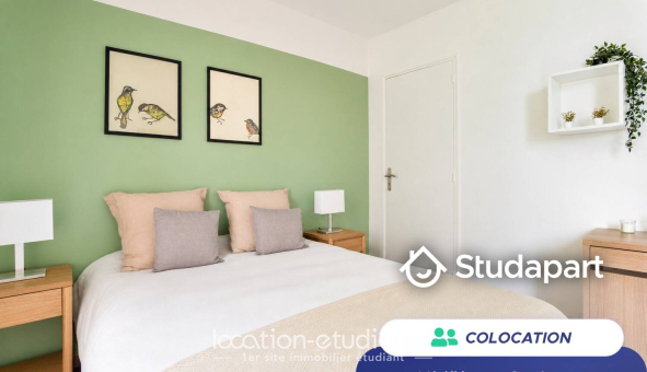 Colocation étudiante Studio &agrave; Lille (59800)