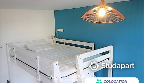 Colocation étudiante Studio &agrave; Lille (59800)