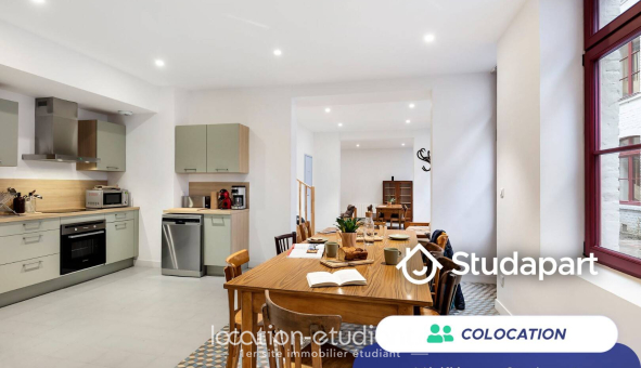 Colocation étudiante Studio &agrave; Lille (59800)