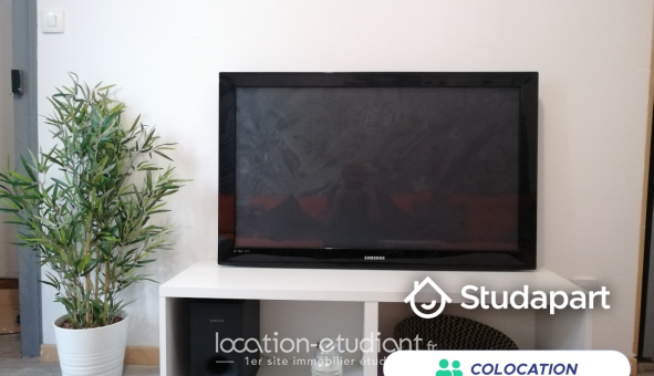Colocation étudiante T4 &agrave; Lille (59800)