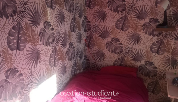 Colocation étudiante Duplex &agrave; Lille (59800)