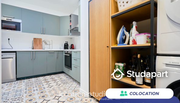 Colocation étudiante Duplex &agrave; Lille (59800)