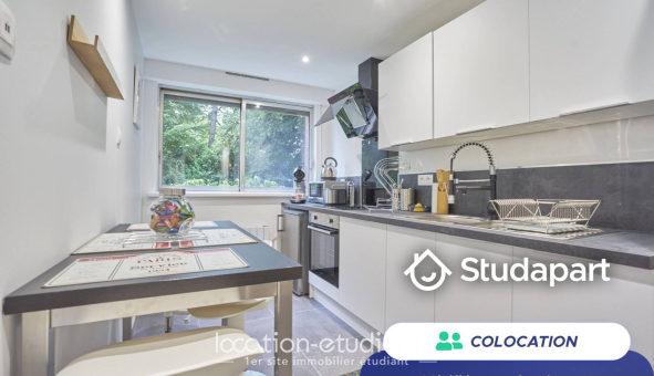 Colocation étudiante Duplex &agrave; Lille (59800)