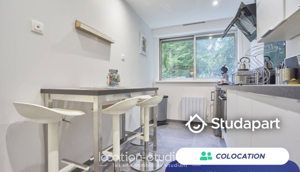 Colocation étudiante Duplex &agrave; Lille (59800)