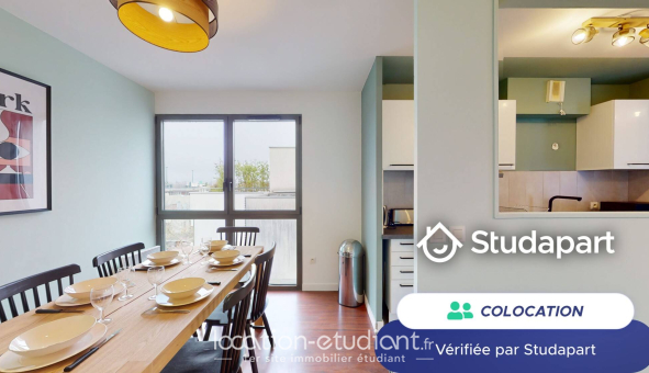 Colocation étudiante Duplex &agrave; Lille (59800)