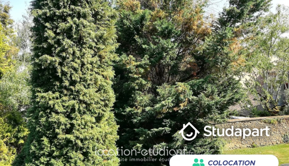 Colocation étudiante T4 &agrave; Limoges (87280)
