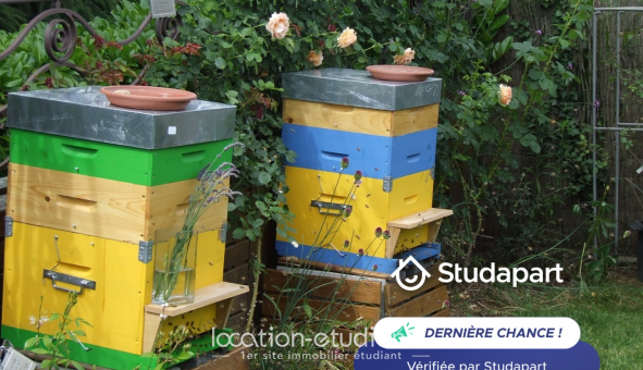 Colocation étudiante T1 &agrave; Limonest (69760)
