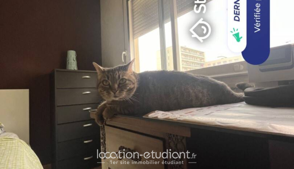 Colocation étudiante Studio &agrave; Lyon 7ème arrondissement (69007)