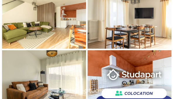Colocation étudiante T1 &agrave; Mareuil sur Cher (41110)