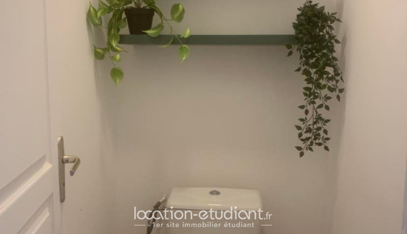 Colocation étudiante T3 &agrave; Marseille 01er arrondissement (13001)