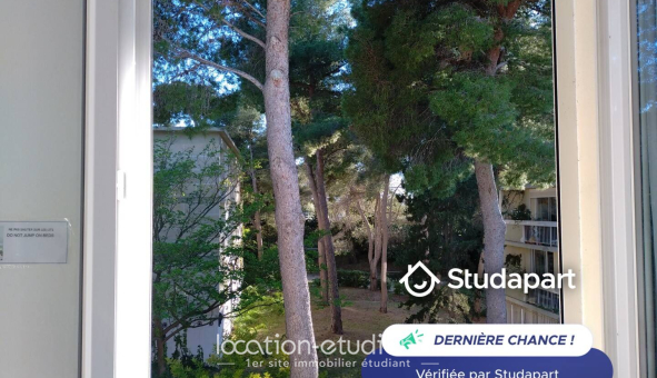 Colocation étudiante T5 &agrave; Marseille 08ème arrondissement (13008)