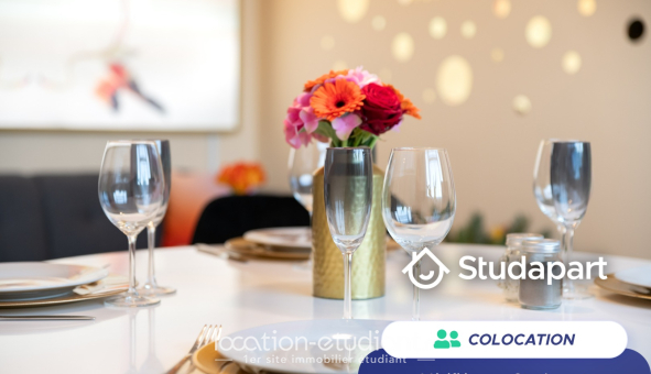 Colocation étudiante Studio &agrave; Mont Saint Aignan (76130)