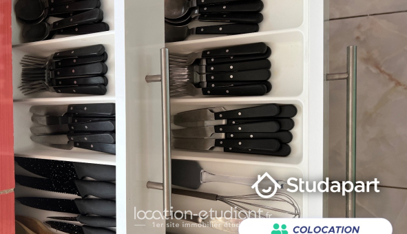 Colocation étudiante T5 &agrave; Montpellier (34080)