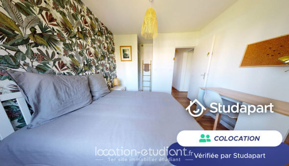 Colocation étudiante Studio &agrave; Montpellier (34080)