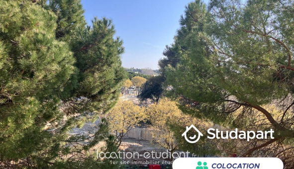Colocation étudiante Studio &agrave; Montpellier (34080)