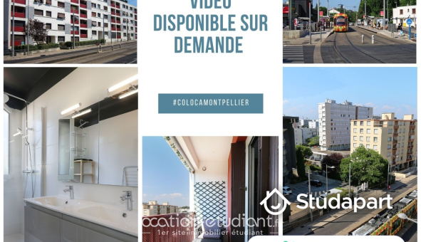 Colocation étudiante T5 &agrave; Montpellier (34080)