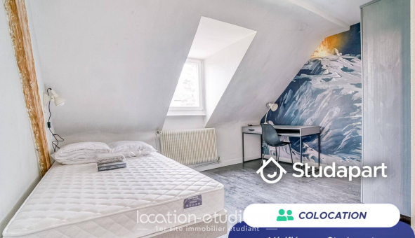 Colocation étudiante Studio &agrave; Mulhouse (68100)