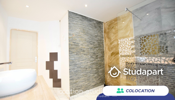 Colocation étudiante Studio &agrave; Nancy (54100)