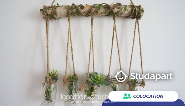Colocation étudiante T3 &agrave; Nancy (54100)