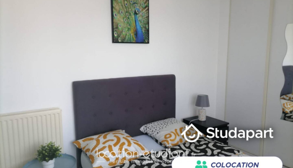 Colocation étudiante Studio &agrave; Nantes (44200)